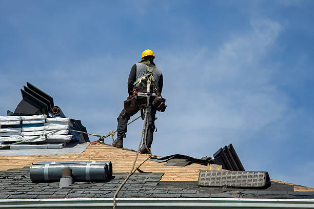 Professional Roof Replacement technician working in Mapleton, ND